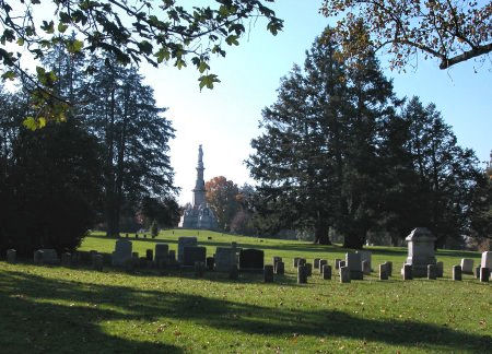 Rows upon rows of graves