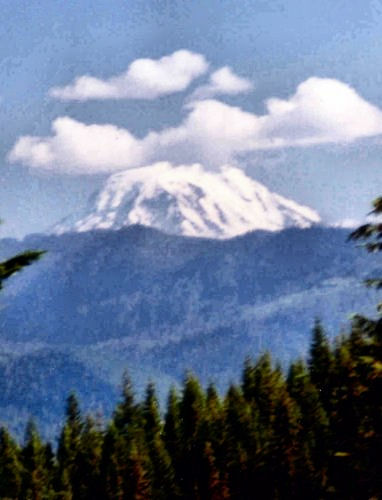 Mount Adams from the north