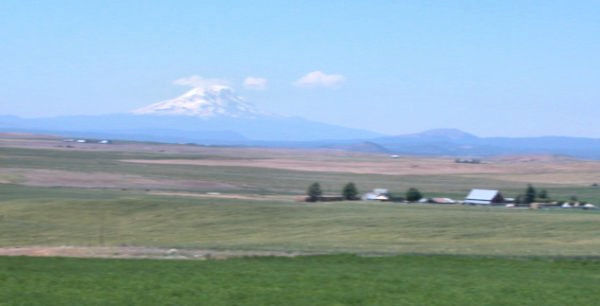 Mt. Adams from US 97 near Goldendale