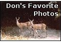 Click to enter Don's Favorite Photos