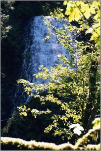 The falls behind Upper Latourell Falls